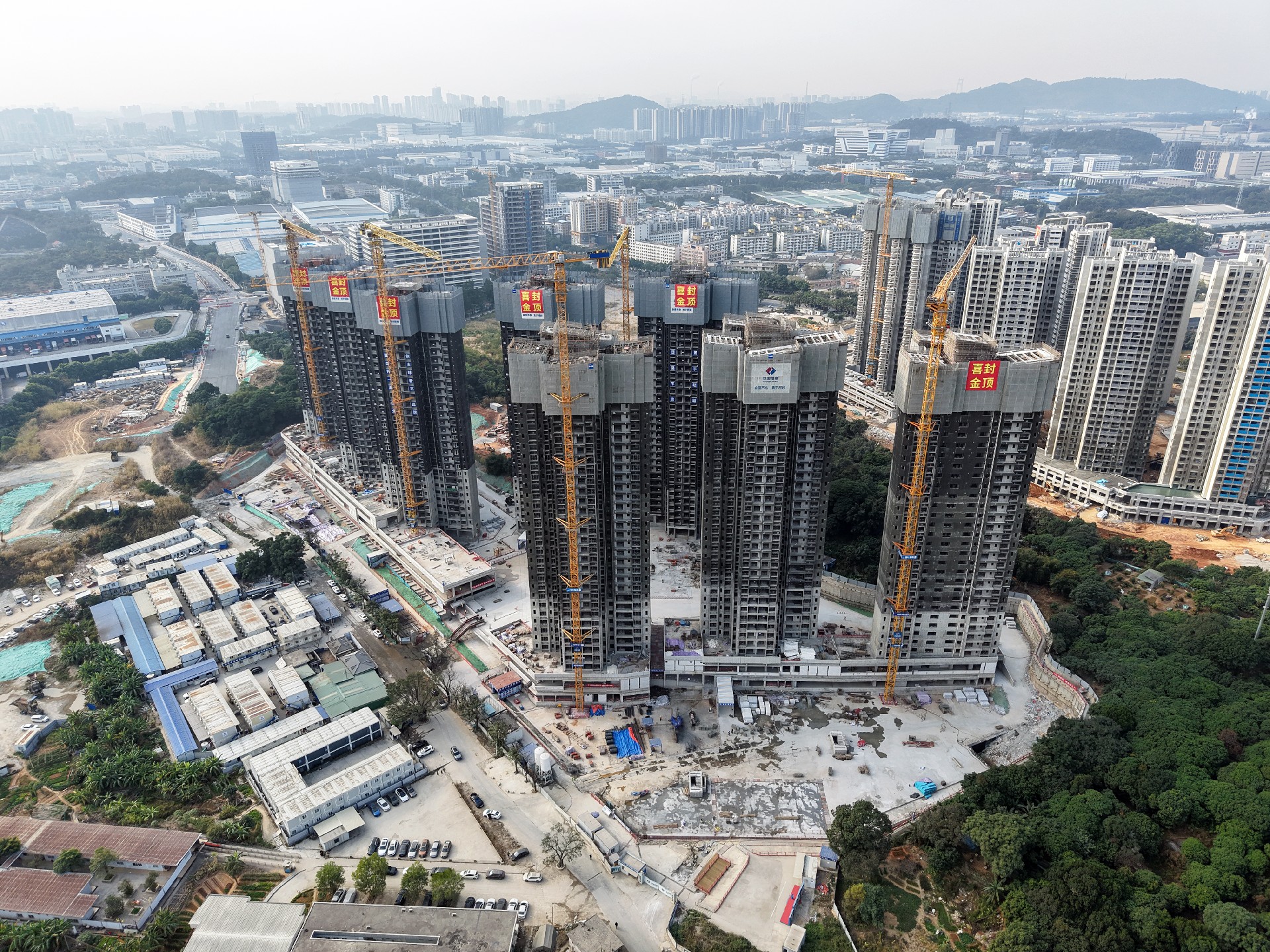 1770253490201368.jpg 岗贝(1).jpg